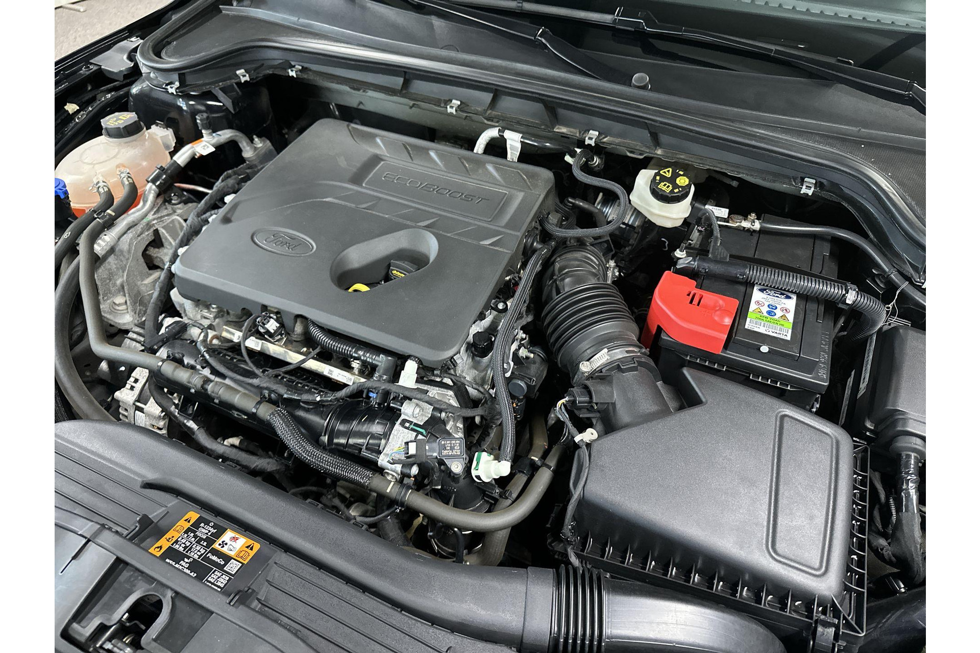 48516303-42.jpg