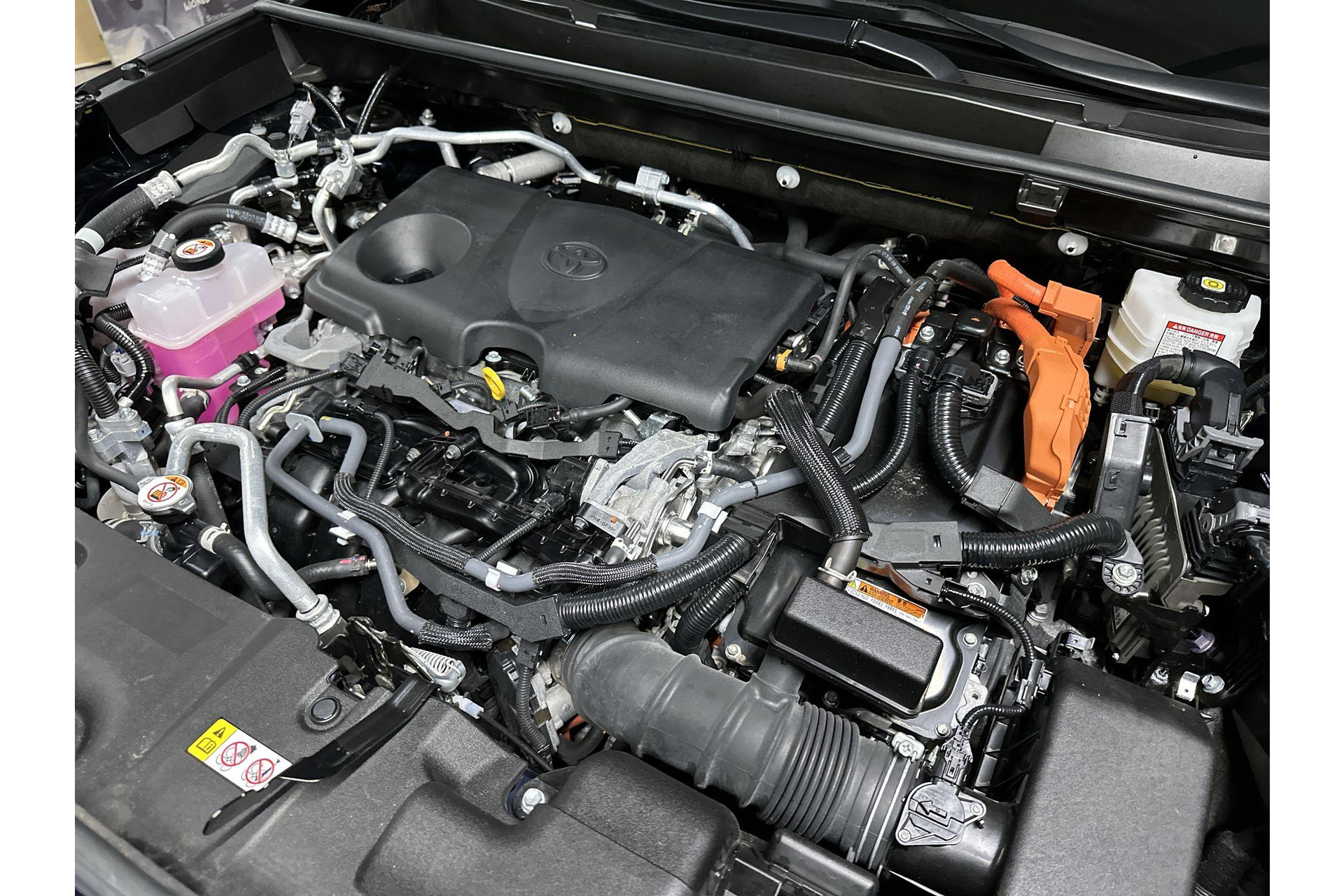 48670649-46.jpg
