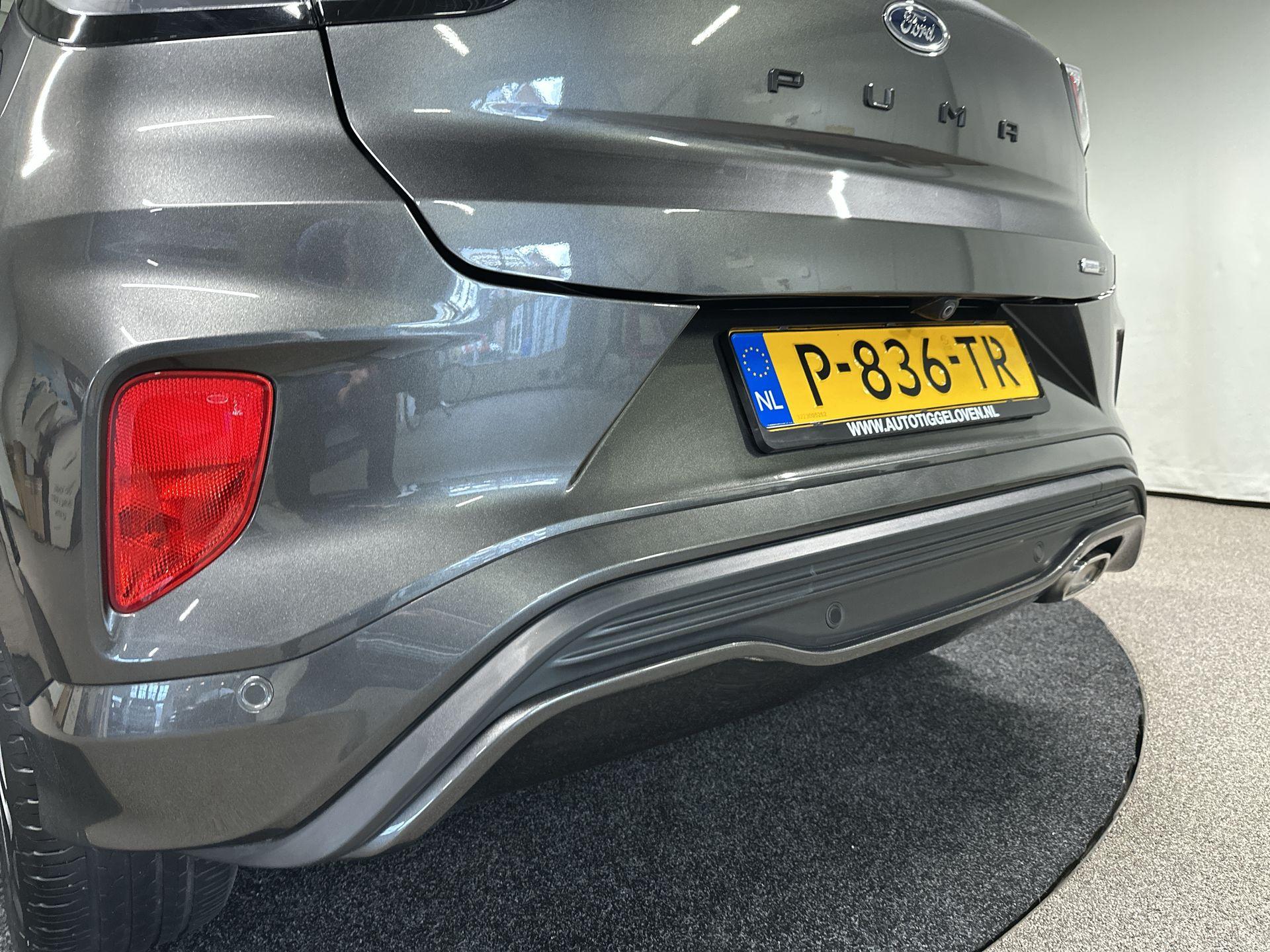 51296524-39.jpg