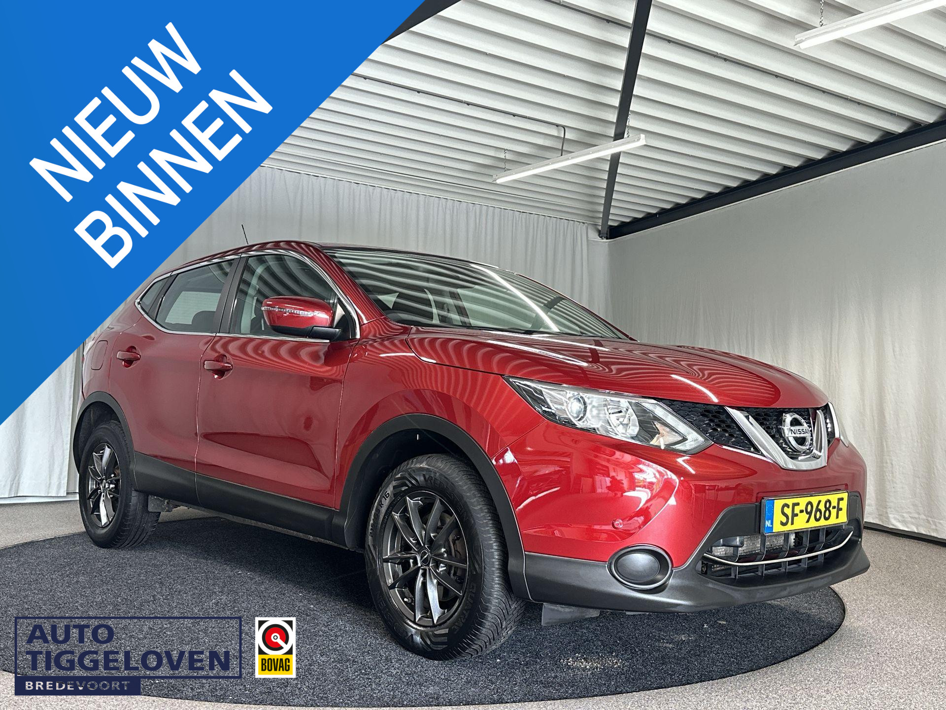 53932808
