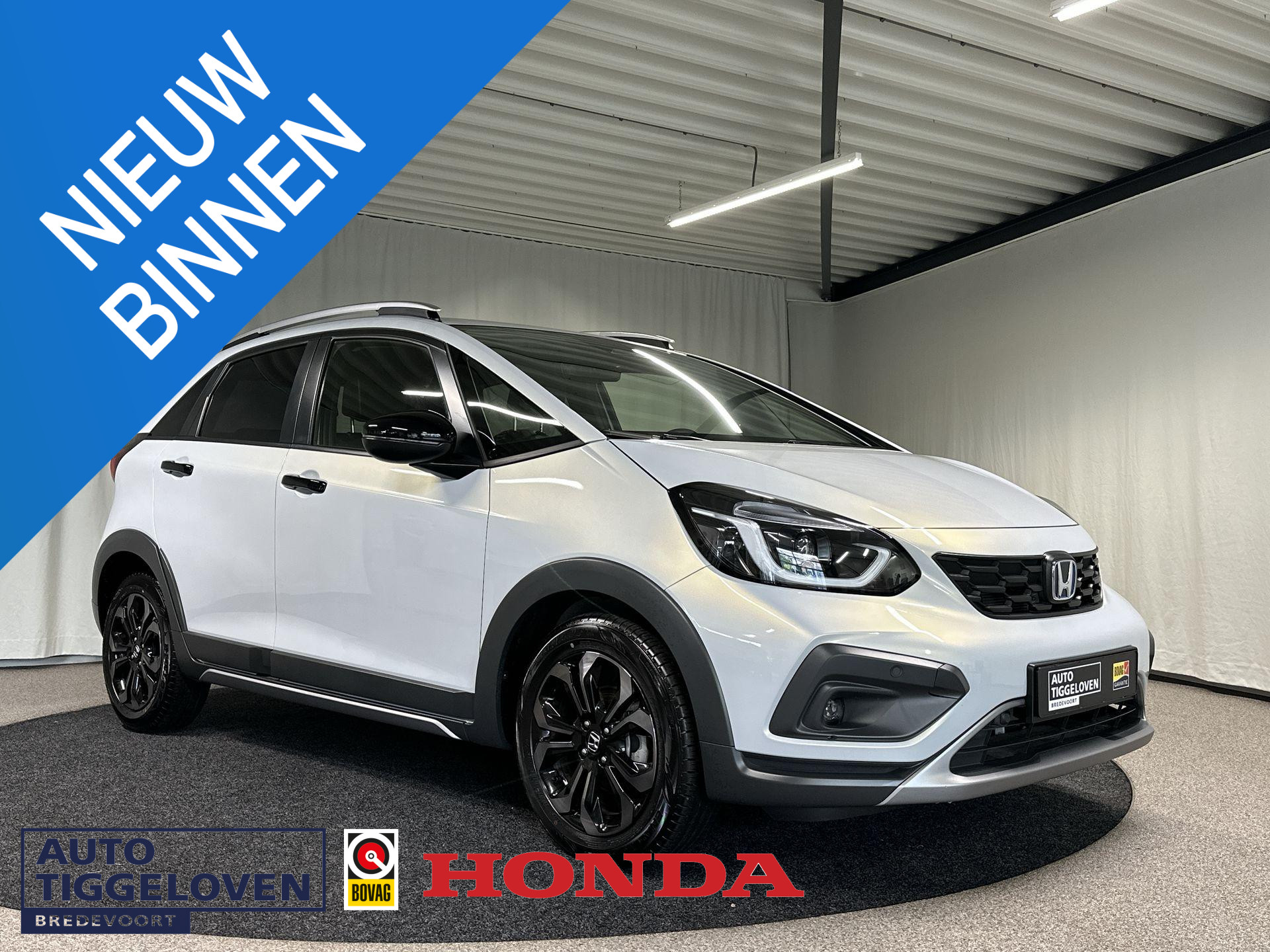 54446281